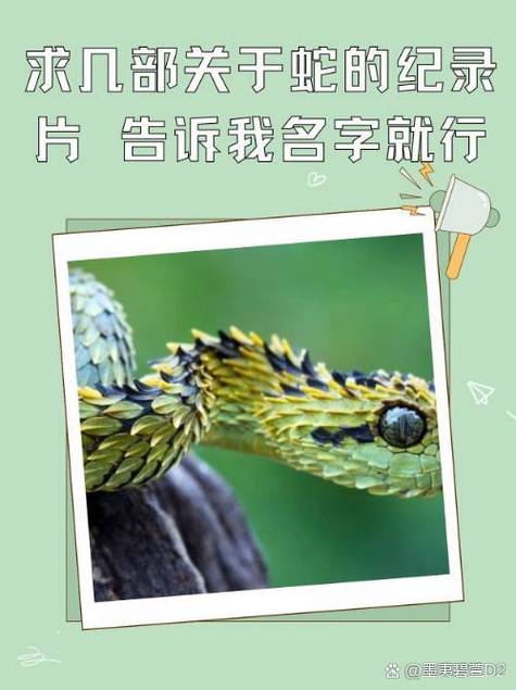 国产精品久久久久久久久岛海报